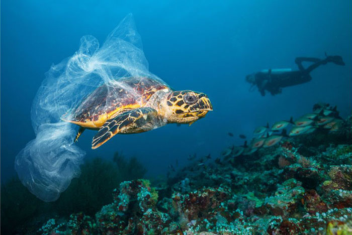 La navigation écologique avec parafouling